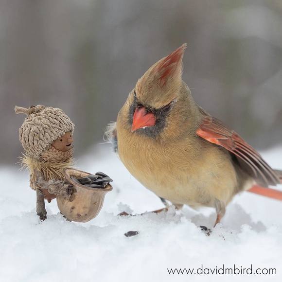 Meet your Posher, H lynn - Picture 1 of 1